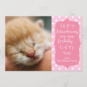 Ankündigung von Pink New Furbaby