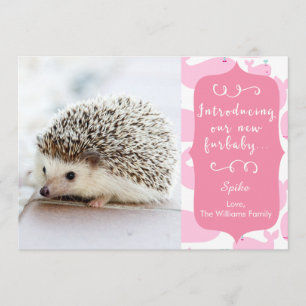 Ankündigung von Pink New Furbaby