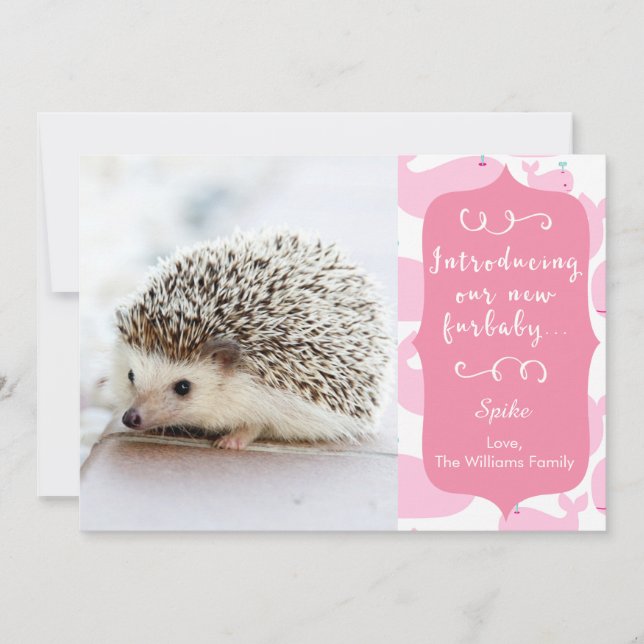 Ankündigung von Pink New Furbaby (Vorderseite)