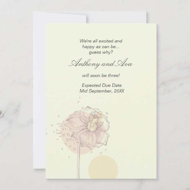 Ankündigung von Scattered Seeds Pregnancy (Vorderseite)