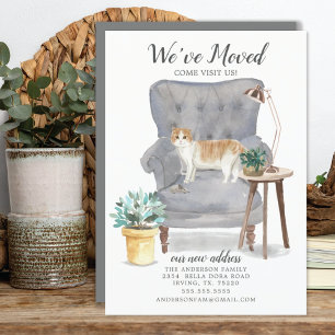 Ankündigung von Scottish Fold Cat Moving