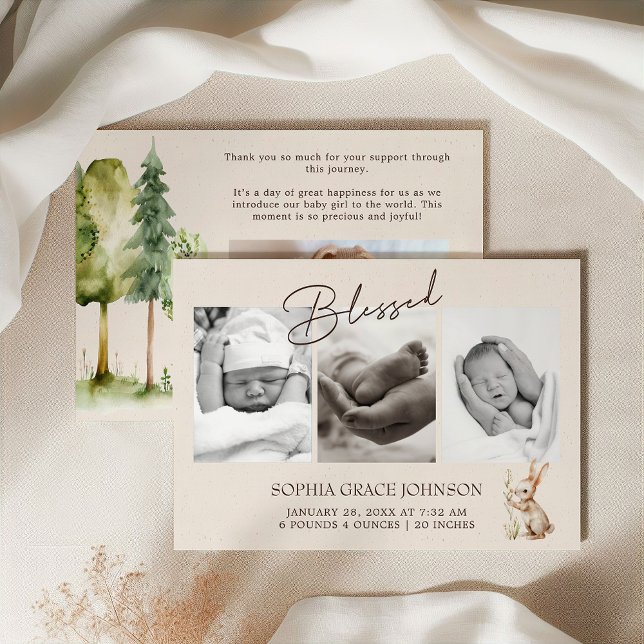 Ankündigung von Woodland Animals Boho Baby (Von Creator hochgeladen)