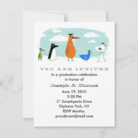 Ankündigung zur Begehung von Bird Grads