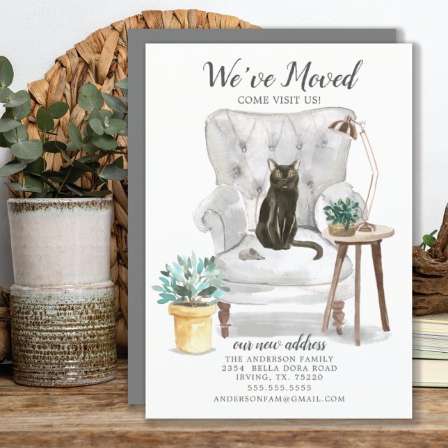 Ankündigung zur Katzenbewegung in Bombay (Von Creator hochgeladen)