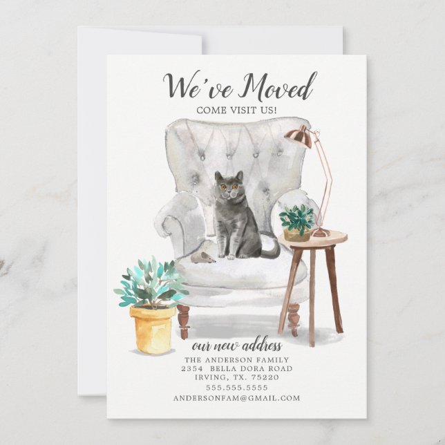 Ankündigung zur Kurzatmigkeit von Katzen (Vorderseite)