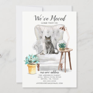 Ankündigung zur Kurzatmigkeit von Katzen