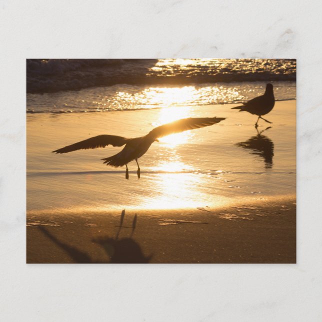 Anlandeansatz Postkarte (Vorderseite)