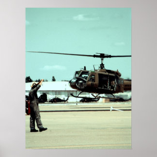 Anlandung des Vogels Poster