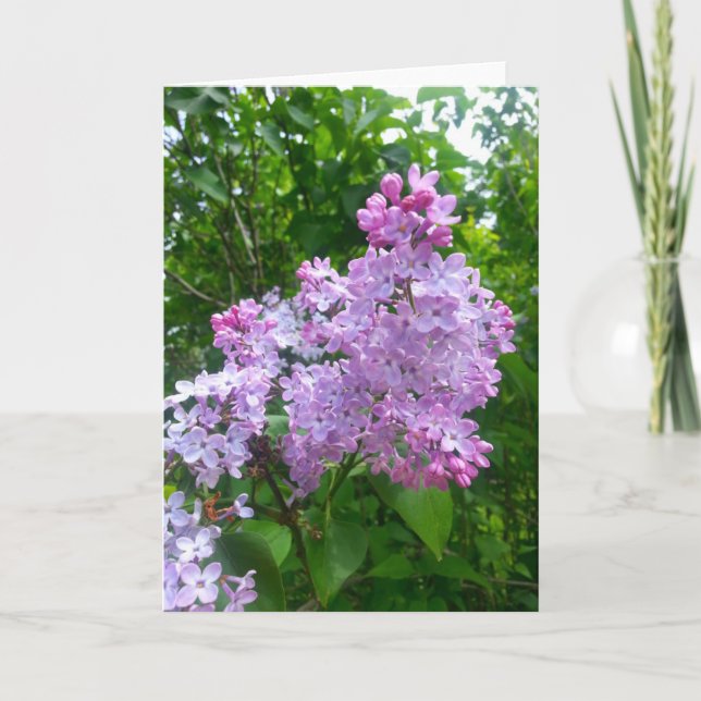 Anlass-Gruß-Karte (freier Raum nach innen) Karte (Vorderseite)