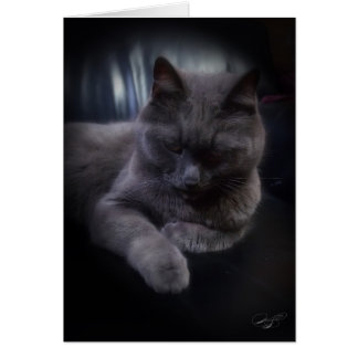 Anlass-(leere) Karte