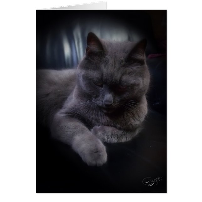 Anlass-(leere) Karte (Vorne)