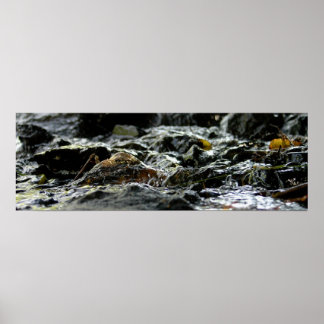 Anleihenfälle - Obere Halbinsel Poster