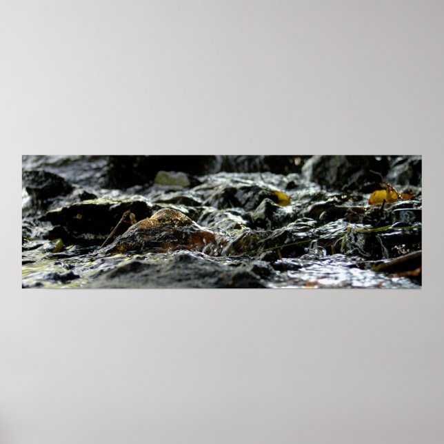 Anleihenfälle - Obere Halbinsel Poster (Vorne)