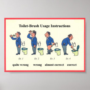 Anleitung für die Toilettenspülung Poster