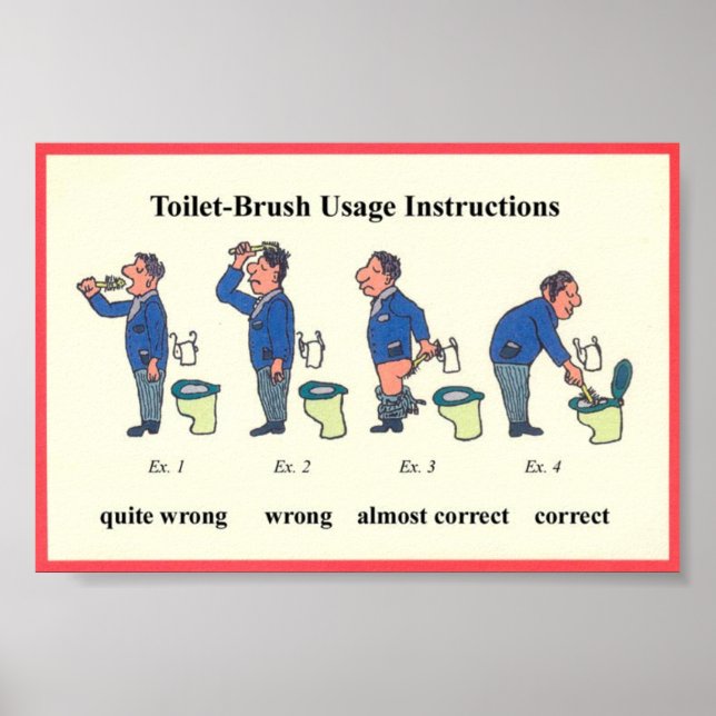 Anleitung für die Toilettenspülung Poster (Vorne)