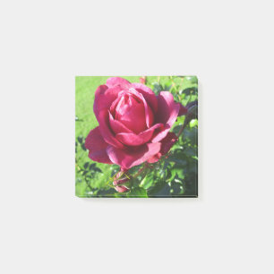 Anmerkungen nach dem Abschluss Post-it Klebezettel