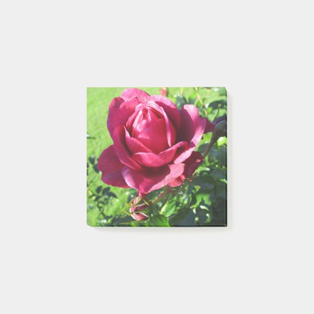 Anmerkungen nach dem Abschluss Post-it Klebezettel (Vorderseite)