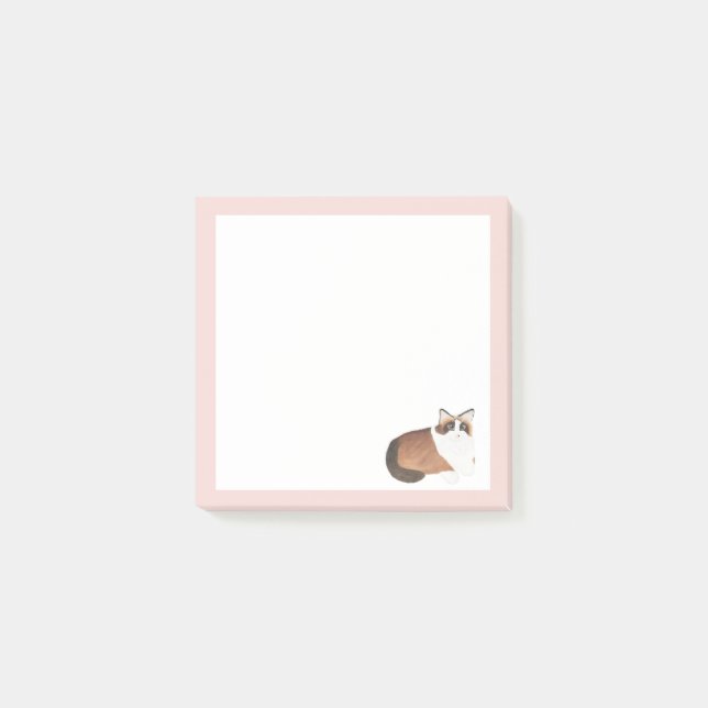 Anmerkungen nach dem IT-System, 3" x 3" Post-it Klebezettel (Vorderseite)