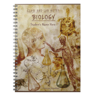 Anmerkungen zu Klassen und Labradoren - Biologie ( Notizblock