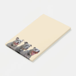 Anmerkungen zu Pitbulys Post-it Klebezettel
