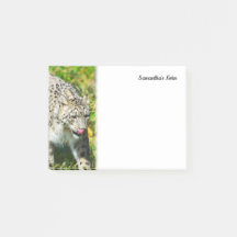 Anmerkungen zu Snow Leopard