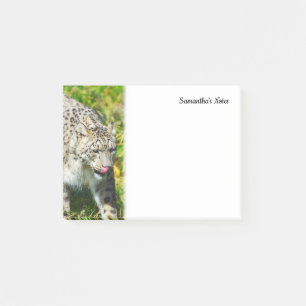 Anmerkungen zu Snow Leopard Post-it Klebezettel