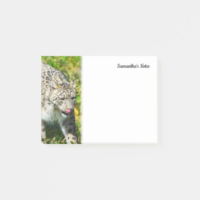 Anmerkungen zu Snow Leopard Post-it Klebezettel (Vorderseite)