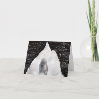 Anmerkungs-Karte: Cygnet auf der Rückseite des Karte