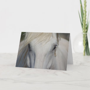 Anmerkungs-Karte Feiertagskarte