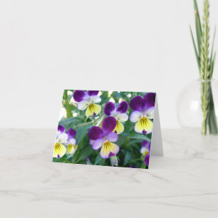 Anmerkungs-Karte Johnny Sprung-UPS Karte