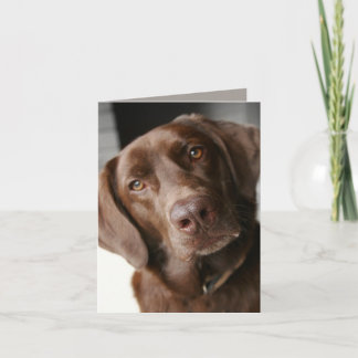 Anmerkungs-Karte Karte