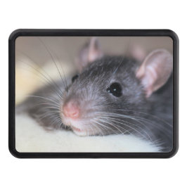 anmutig abschlepphaken cover