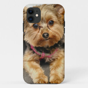 anmutig iPhone 11 hülle