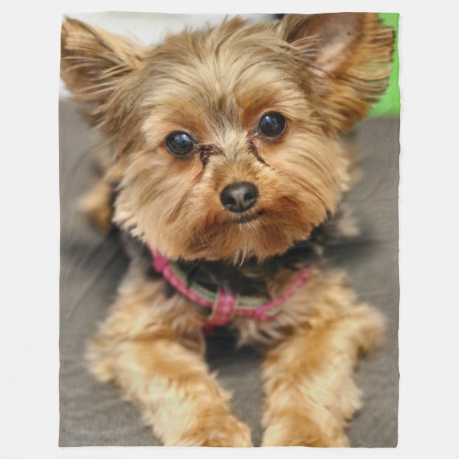 anmutig fleecedecke (Vorderseite)