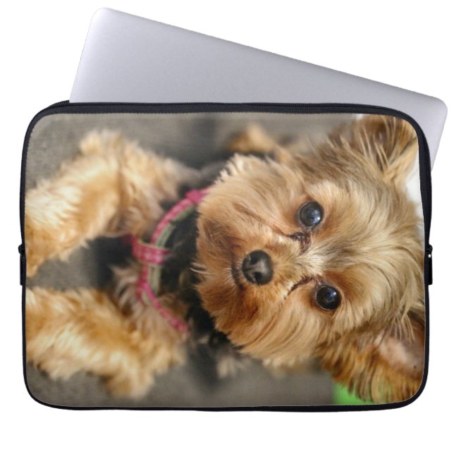 anmutig laptopschutzhülle (Vorderseite)