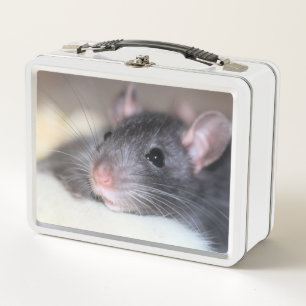 anmutig metall brotdose