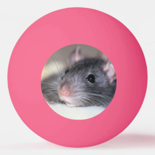 anmutig tischtennisball