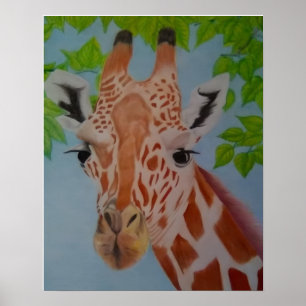 Anmutige Giraffe  Poster