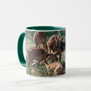 Anmutige Nyala – Afrikanische Natur Tasse