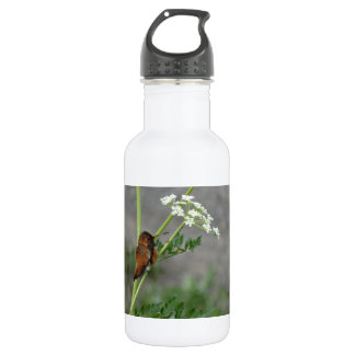 Ann"s Lace and bird Trinkflasche