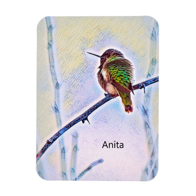 Anna Hummingbird in den Farben der Zweigstellen Magnet (Vertikal)