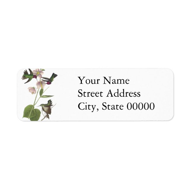 Anna Hummingbird, James Audubon (Vorne)