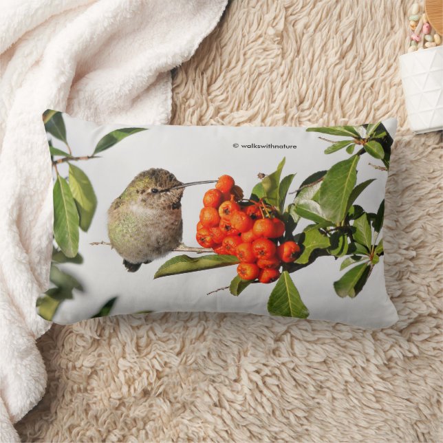 Anna-Hummingbird-Posen mit der Pyracantha Lendenkissen (Decke)