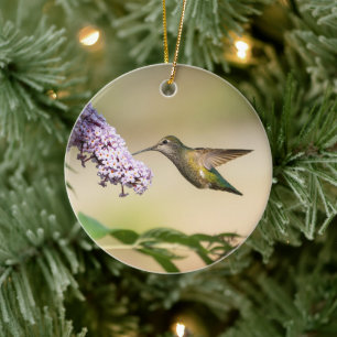 Anna-Kolibri-Feiertagsgeschenk Keramik Ornament