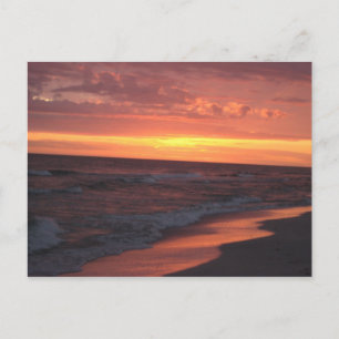 Anna Maria Island Sunset Postkarte