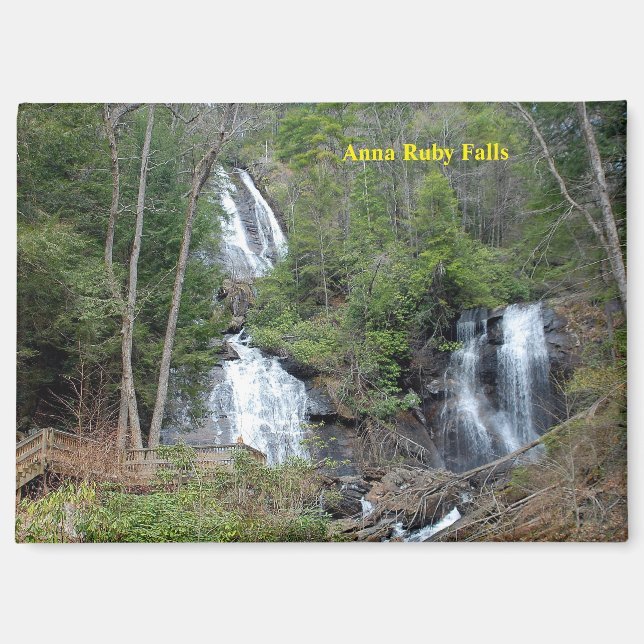 Anna Ruby Falls Magnet (Vorderseite)
