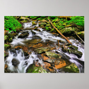 Anna Ruby Tumbles, Poster