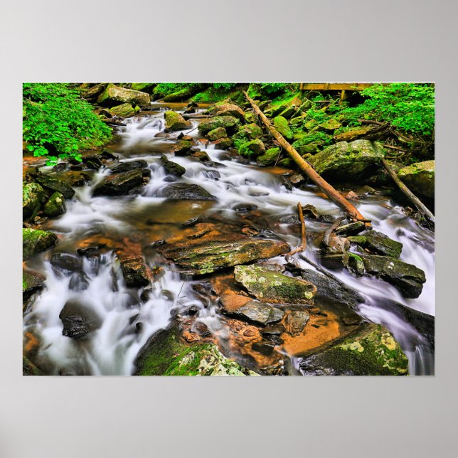 Anna Ruby Tumbles, Poster (Vorne)