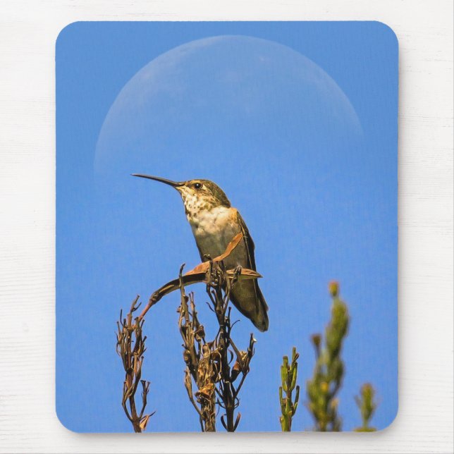 Anna’s Hummingbird Perched Against Full Moon Photo Mousepad (Vorne)