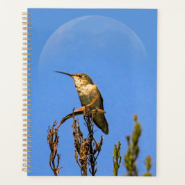 Anna’s Hummingbird Perched Against Full Moon Photo Planer